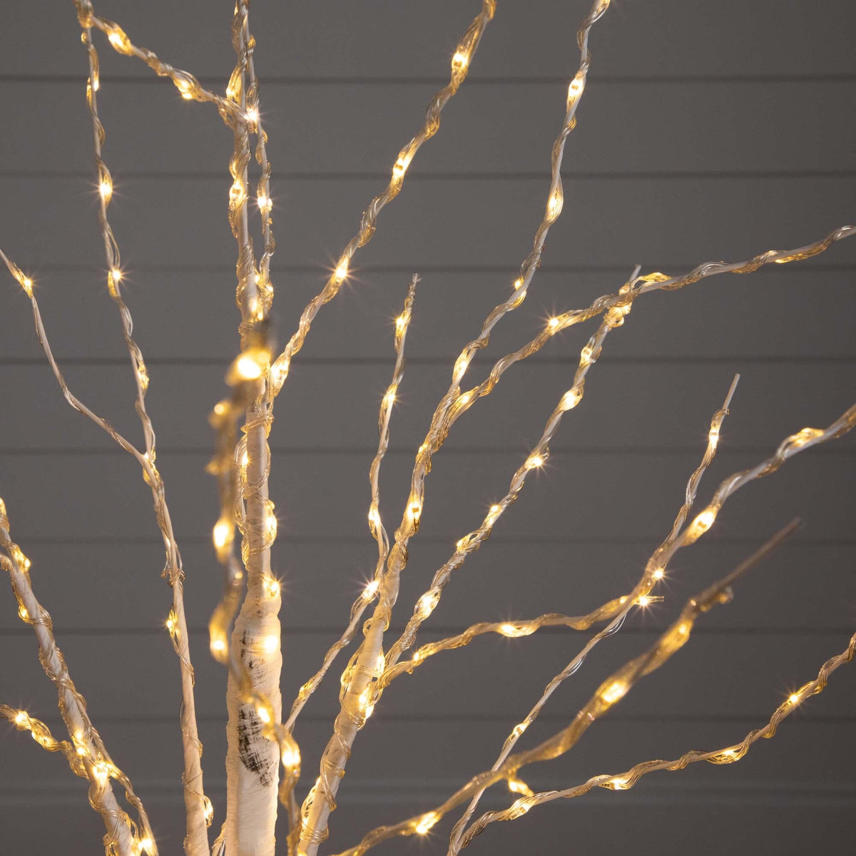 4' Pre-Lit Artificial White Birch Tree with 240 Color Changing LED Lights