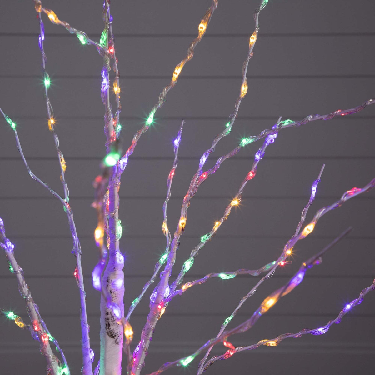 4' Pre-Lit Artificial White Birch Tree with 240 Color Changing LED Lights