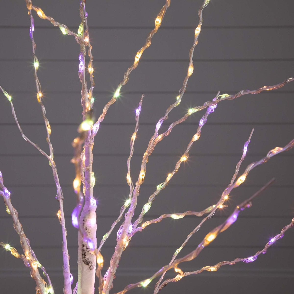4' Pre-Lit Artificial White Birch Tree with 240 Color Changing LED Lights