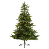 6' North Carolina Spruce Artificial Christmas Tree with 350 Clear Lights and 631 Bendable Branches