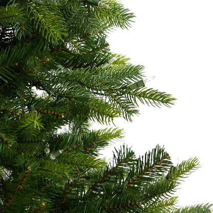 6' North Carolina Spruce Artificial Christmas Tree with 350 Clear Lights and 631 Bendable Branches