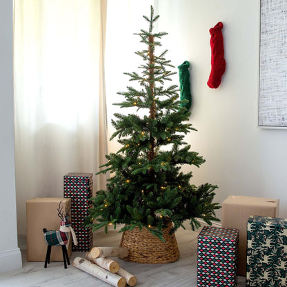 6' Pre-Lit Artificial Idaho Mixed Fir Christmas Tree with 130 Warm White LED Lights