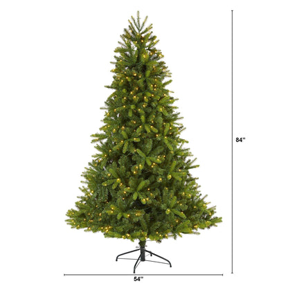 7' New Haven Spruce “Natural Look” Artificial Christmas Tree with 500 LED Lights