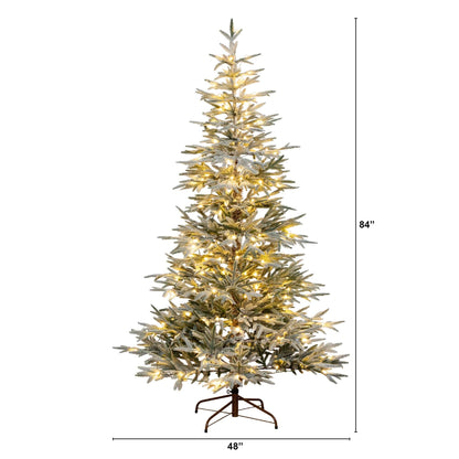 7' Pre-Lit Artificial Flocked Woodland Fir Christmas Tree with 200 Warm White LED Lights