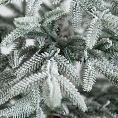 7' Pre-Lit Artificial Flocked Woodland Fir Christmas Tree with 200 Warm White LED Lights